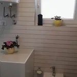 Oasis * 풀라