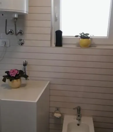 Apartma Nada, Tu Boste V Centru Poletnega Utripa * Pula