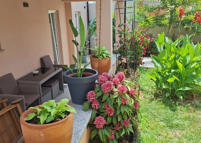 Oasis Appartamento *