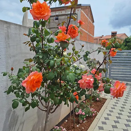 Apartma Nada, Tu Boste V Centru Poletnega Utripa * プーラ