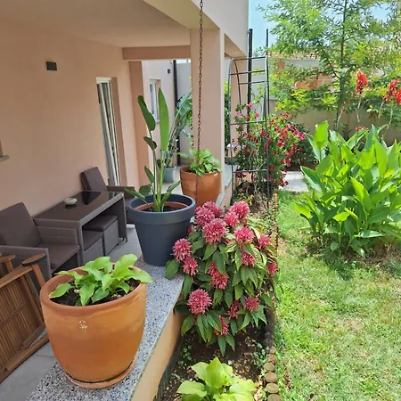 Apartma Nada, Tu Boste V Centru Poletnega Utripa アパート *